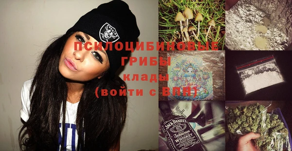 дживик Алзамай