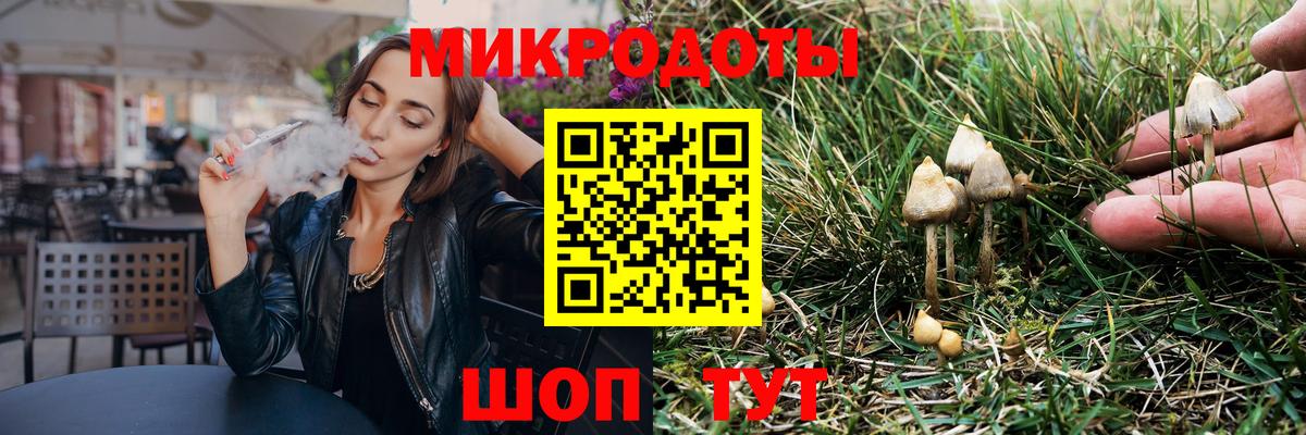 даркнет сайт  Галлюциногенные грибы прущие грибы  Вход с VPN  Кольчугино 