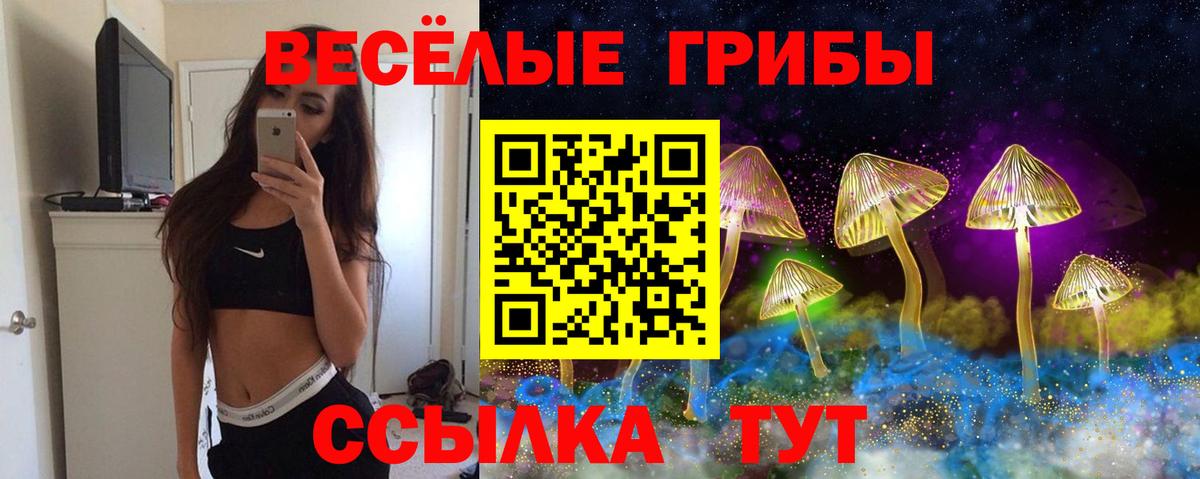 Галлюциногенные грибы Psilocybine cubensis Кольчугино